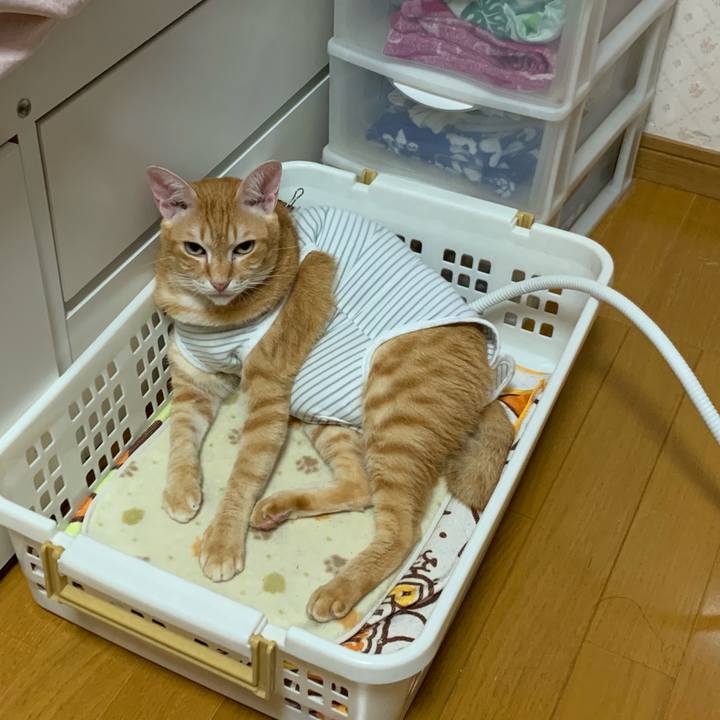 3ff1c4d5 71d7 4d6c 9155 4eb1ddb8d959 1570201690731