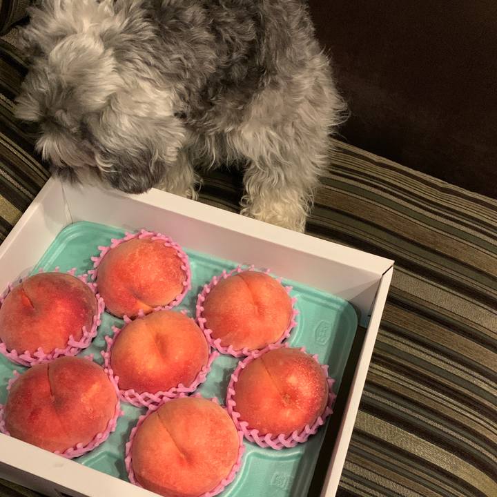 3ff1ca2e ed9a 47c9 ac44 4080b1ed61cc 1596971063495