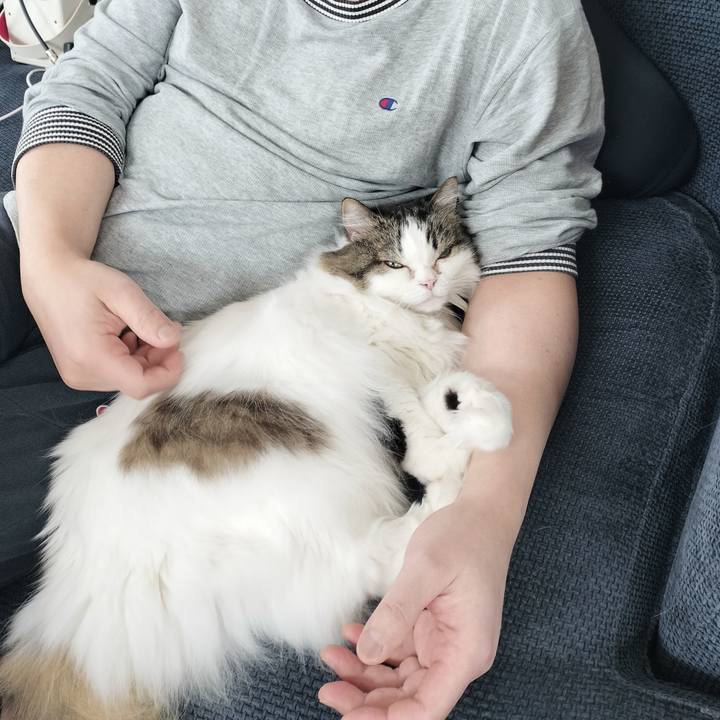 3ff1e329 484e 4d3a ab93 59842051c39d 1765591983447