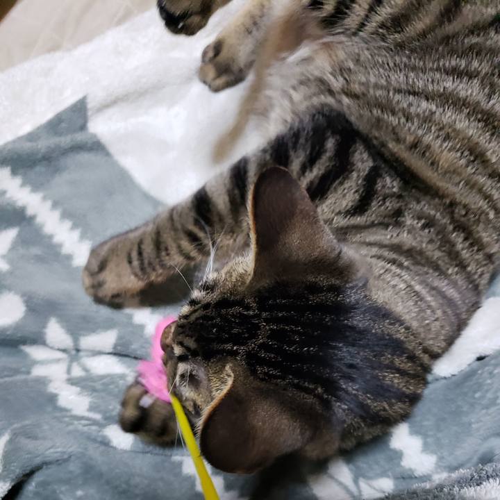 3ff1e9d5 9eec 4a97 b240 0245180db1ff 1547903714835