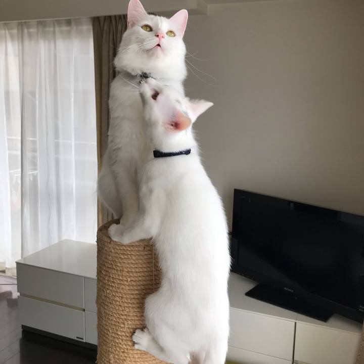 3ff232dd 55be 4fce a3ce 7bf6645f9c52 1573615458616