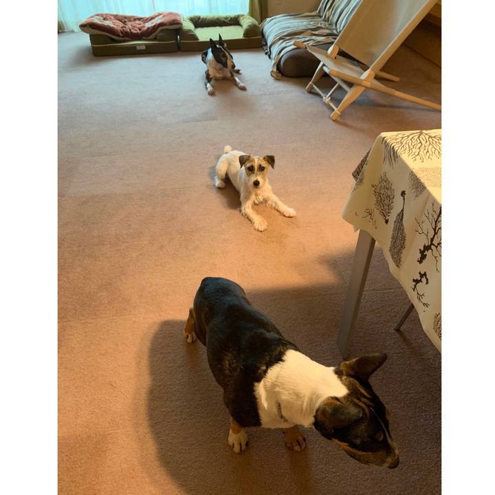 3ff234c1 bfae 4de7 b0f9 1bef0a81b9f1 1594274116164