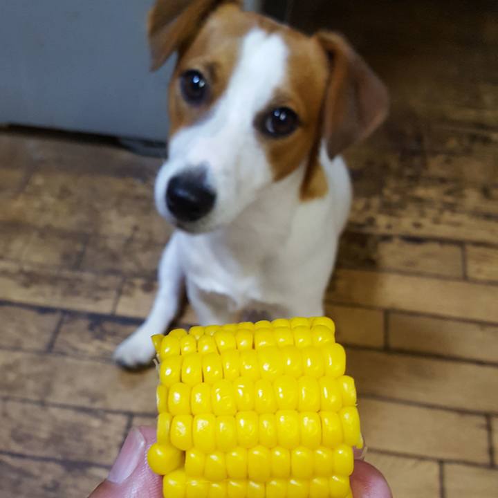 3ff24e11 992f 4f9b 8957 97bcb4da6452 1564827258036