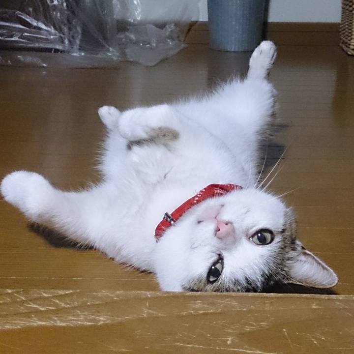 3ff28464 82d2 450d 8a01 aa5cfba72e18 1513122197394