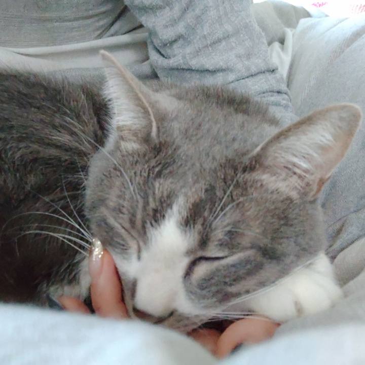 3ff2af60 25e6 469c a4db f7265cda626d 1672442063383