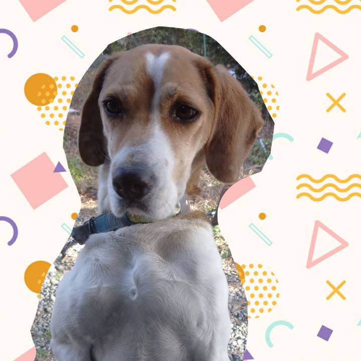 3ff2b40d e305 4a2d ac7a cff1f5503885 1610806838478