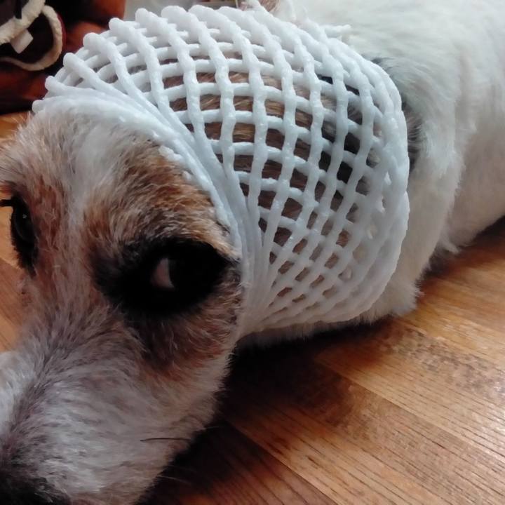 3ff2c530 8baa 43e4 84a1 519b0d95738b 1534941330189