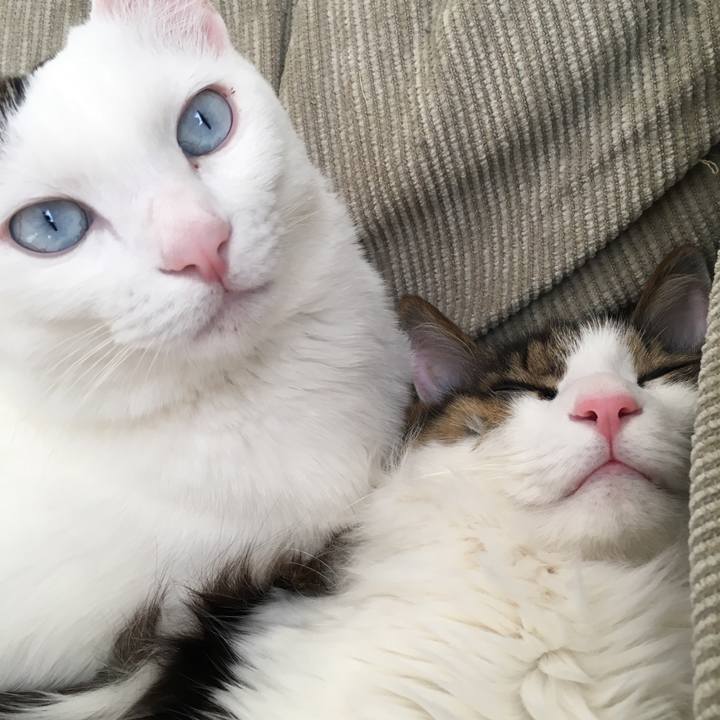 3ff2e515 8edd 435c 814e aa59fa2605e7 1550819577164