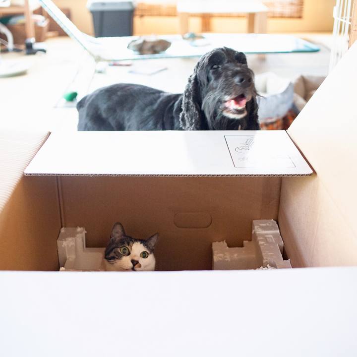 3ff2e72e 556a 4365 98fd e80e2912c539 1566014199739