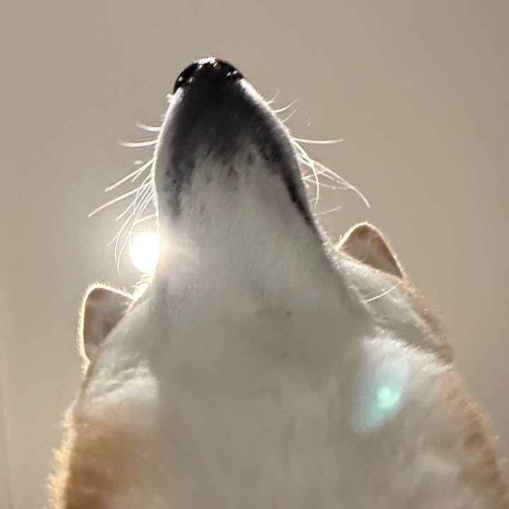 3ff2f6ec 34e4 481c b6e0 314761a708b6 1764734284744