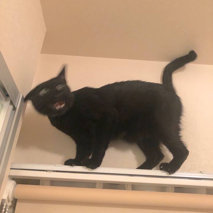 3ff2fc6e f7a3 4a02 907e d8be50e25a33 1569857763509