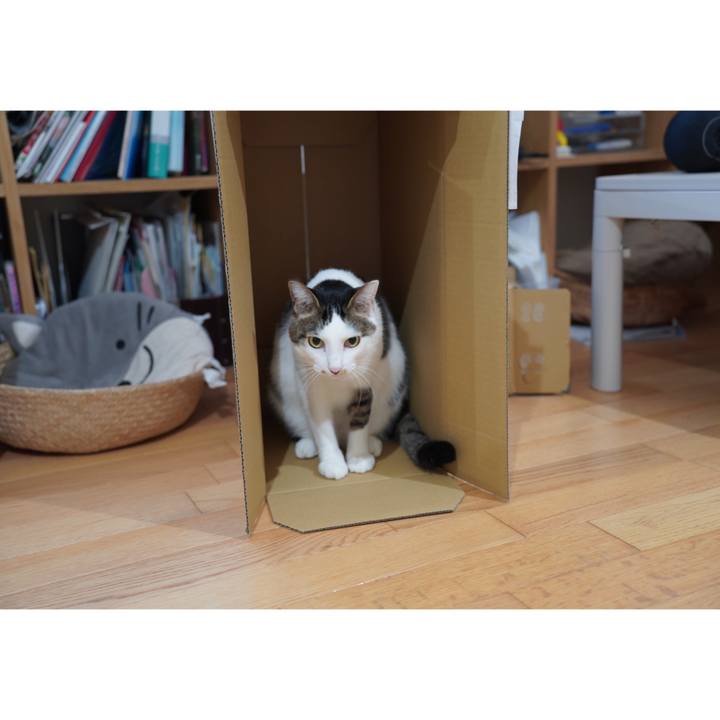 3ff326a3 3557 4b16 a8e3 921e3e15e757 1669120463874