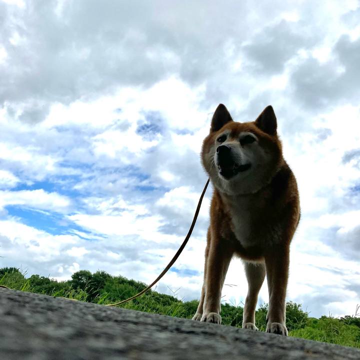 3ff32c0b 83a5 4d94 b51c 345b63531be6 1657164817135