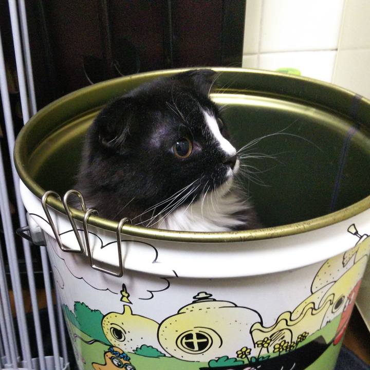 3ff33385 56b0 421f 948d 398cfb92898f 1647339980992