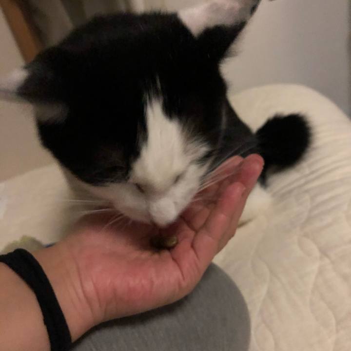 3ff35148 7900 4465 a2b1 0ef57679607d 1562515362410