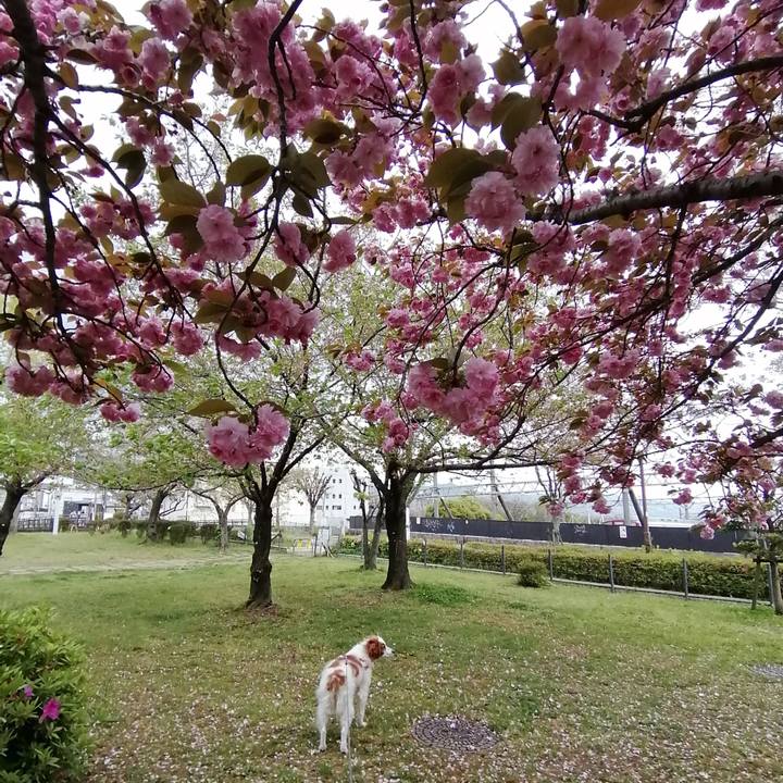 3ff3560b 73f5 44d2 aa0f d358da21adc1 1587197792392