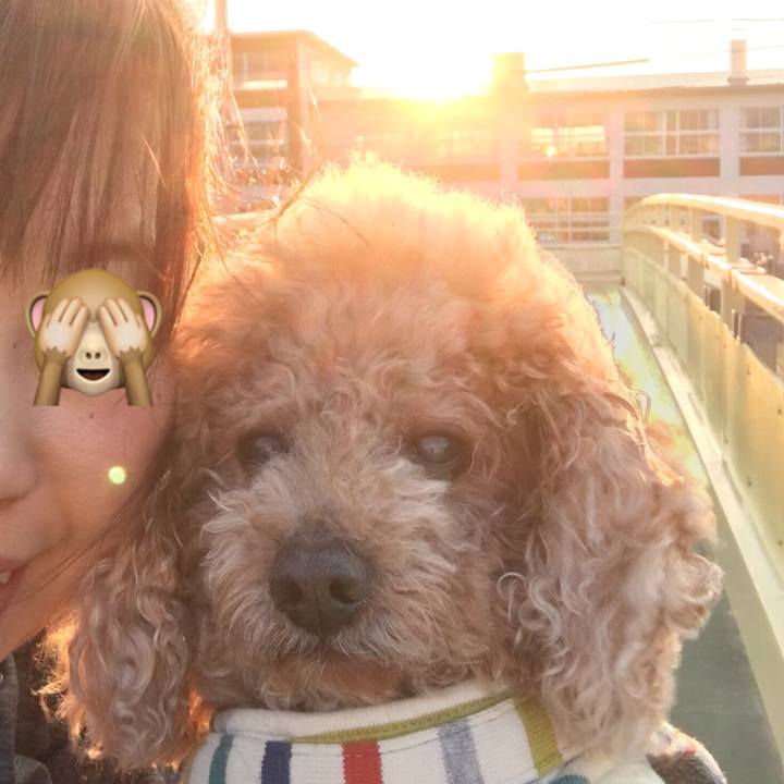 3ff3a9ef 7127 412d 8ee7 bfd012730d79 1524820878263