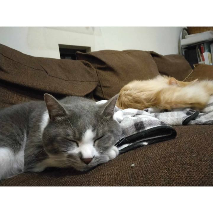 3ff3bf03 8299 4d48 add2 4da1d5fd197b 1718488793272