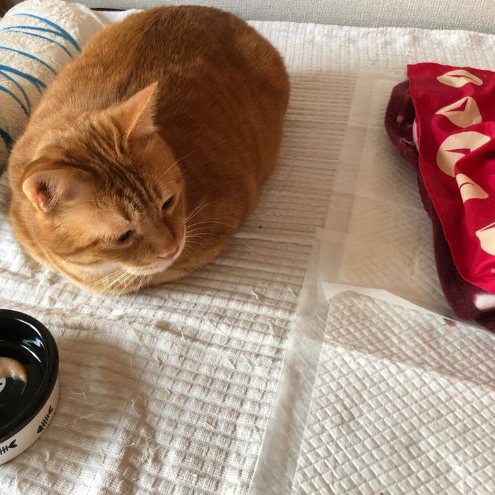 3ff3d923 8503 44bb 981c 1f60bd57c4ba 1647553312844