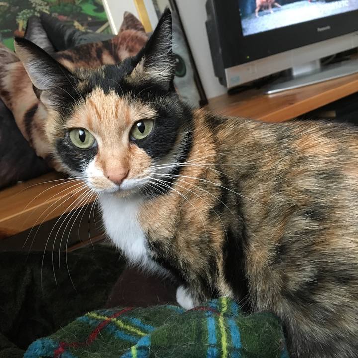 3ff434cc 616a 47af a967 276ee1ff9f35 1511133396218