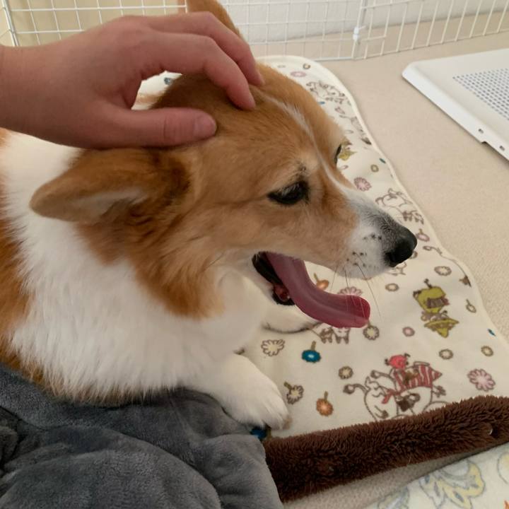 3ff45e50 3fcd 4843 8940 2f4e84ac474a 1710935970409