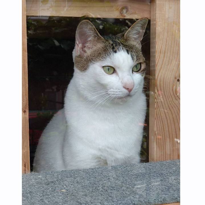 3ff4632f 227b 40eb a1ad c88c4d1cf19f 1757044331931