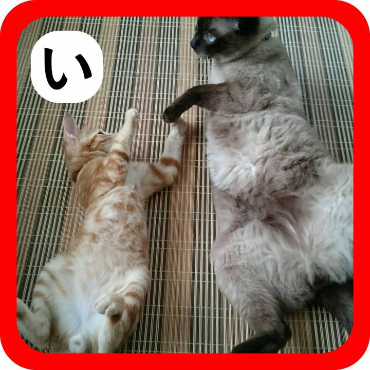 3ff4824e 98e8 45ce bdb0 a56849b90723 1514799871343