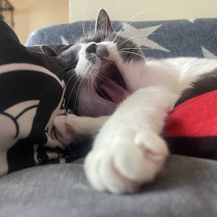 3ff4f043 3317 482e b036 31a8dab7cd01 1651651307107