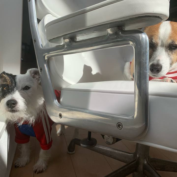 3ff4f52a 3e4b 4754 a304 312e838848d3 1572657168065