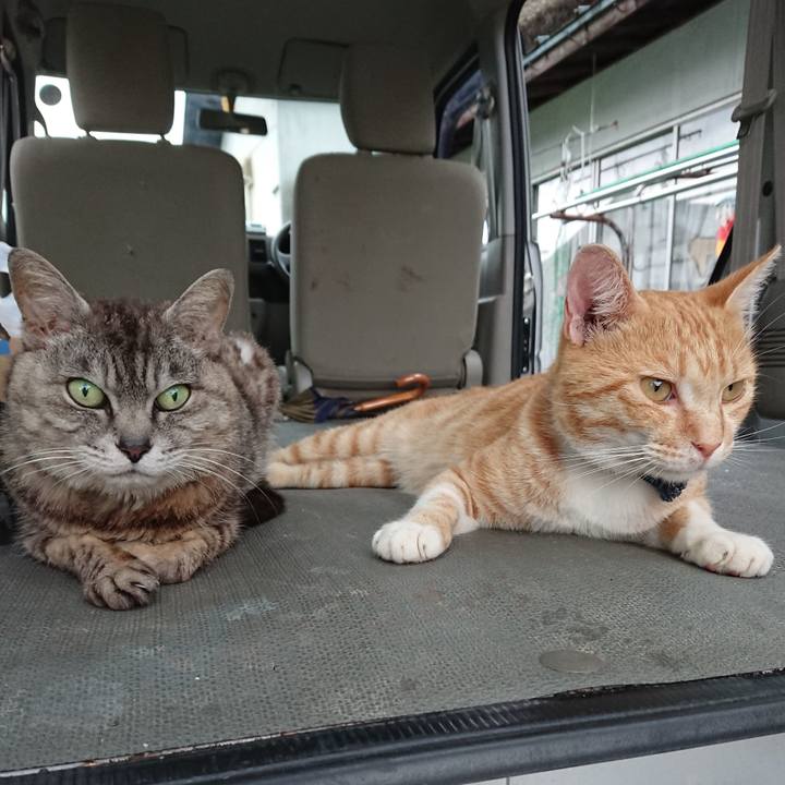 3ff4f749 a751 4fde a192 12b65f8d95a8 1563613594663