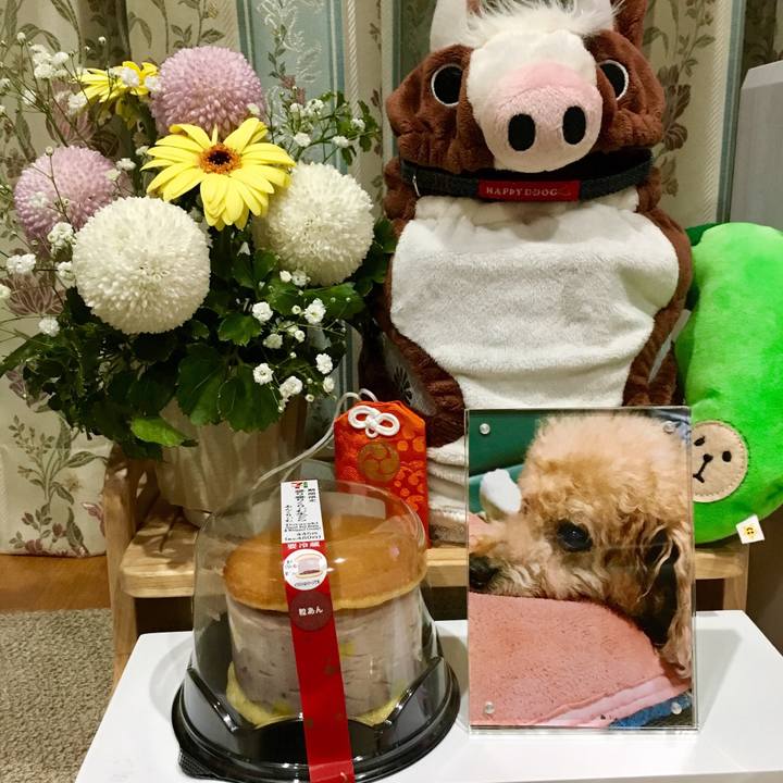 3ff50ccc 36cd 4842 9244 a4be60dde679 1546433136595