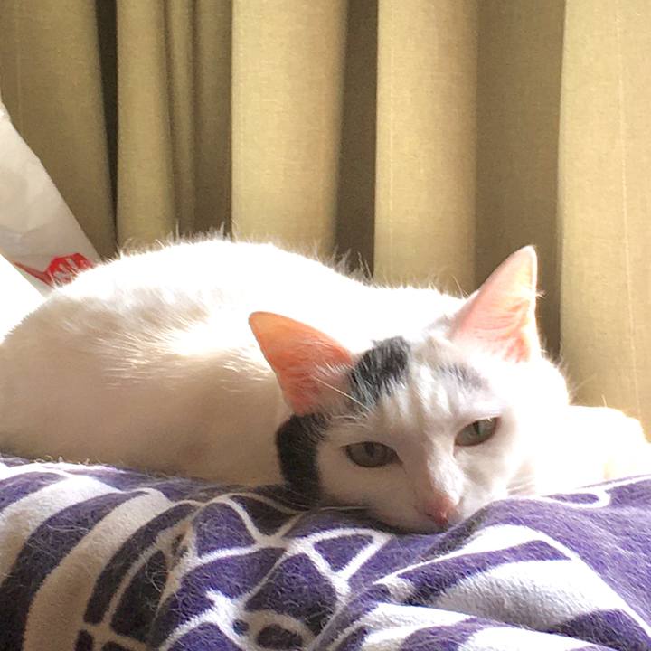 3ff5358e b9be 4a46 8cb1 250c71aa8e74 1591770080730