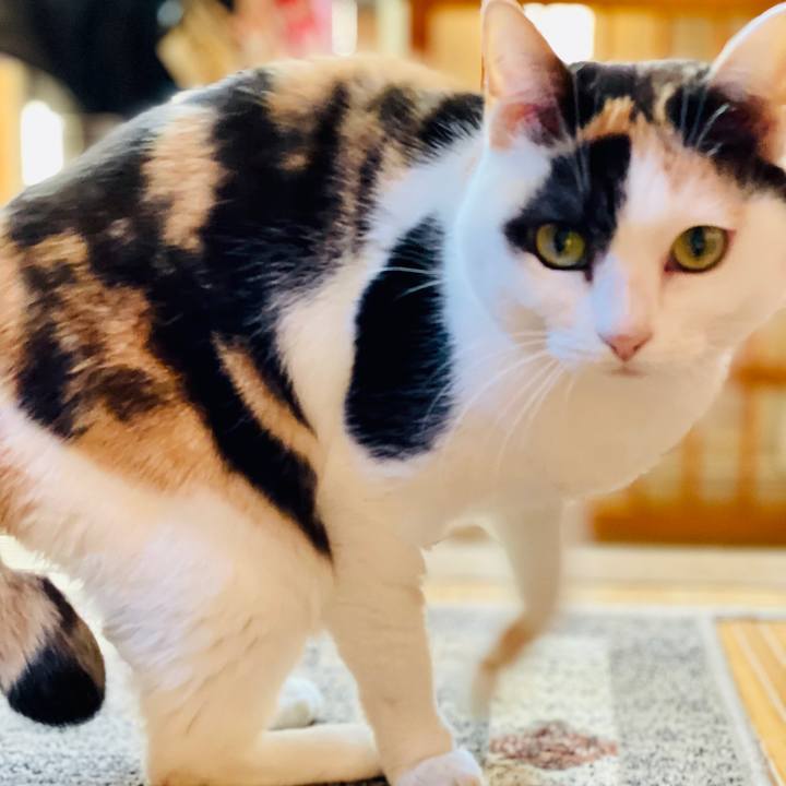 3ff5558b 8170 4ad0 b603 3662ce95efcb 1610854688401