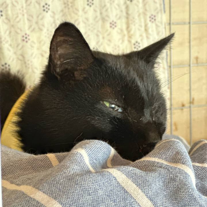 3ff5a108 ad96 4934 b4f8 b5c6cfc671fb 1719019974165