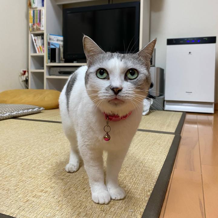 3ff5c1b8 7af3 41a0 9e19 58cb2e4b653b 1635261499127