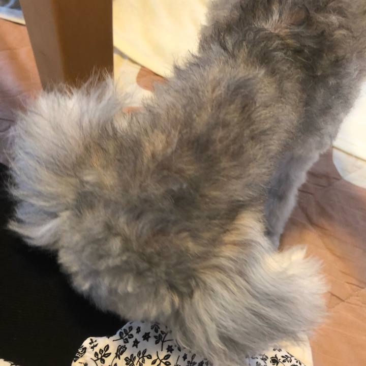 3ff5c3df add4 4833 8028 ea2bf0bdeeb7 1633392157847