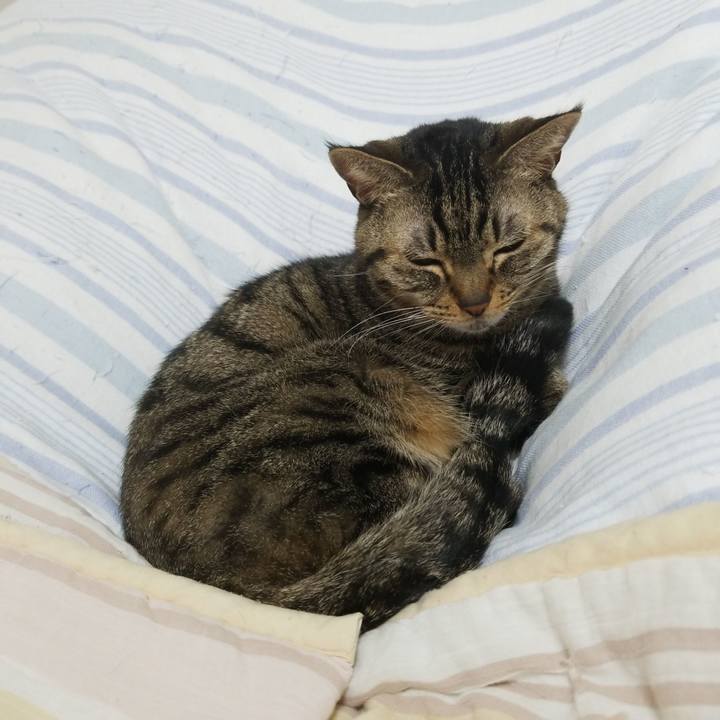 3ff5d65c 87a7 49cd 8801 268d22299d67 1583443829402