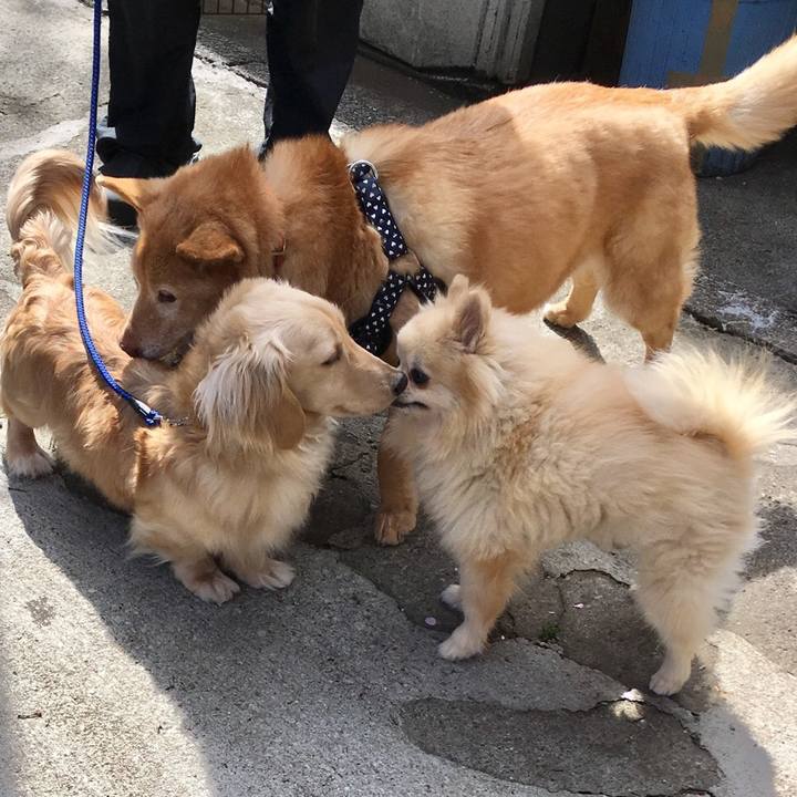 3ff6075b f5b4 4e30 91df c3b7188f6849 1554470735647