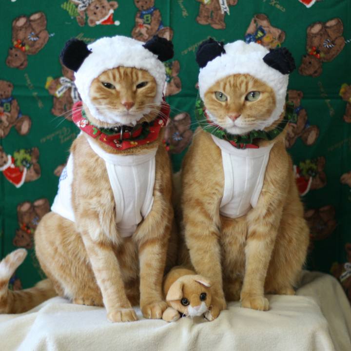 3ff609bf e7d2 47d5 a4e1 d19cc84e27ca 1513609396806