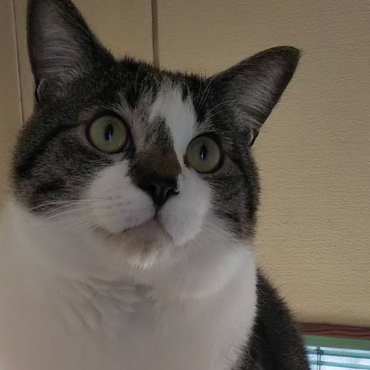 3ff6116f 4a85 464d a937 29ec27fa5598 1602546947288