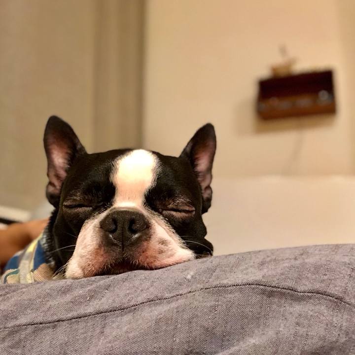 3ff618c6 3c45 4d6c b042 faf50d566d41 1514108951984