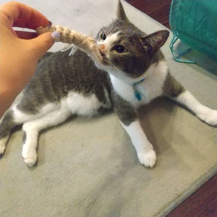 3ff61cb4 e7a9 4111 9480 70615c422623 1631483092413