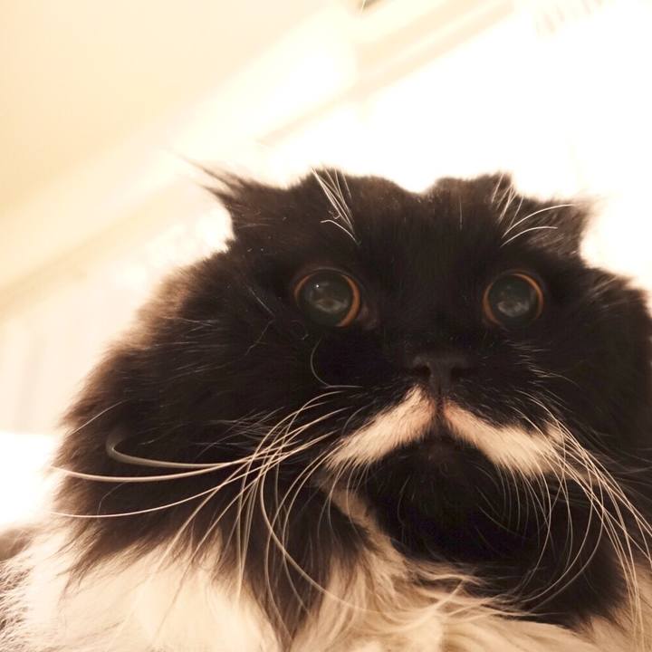 3ff61fa4 c3be 424b a157 c200fd1c653d 1512438171459