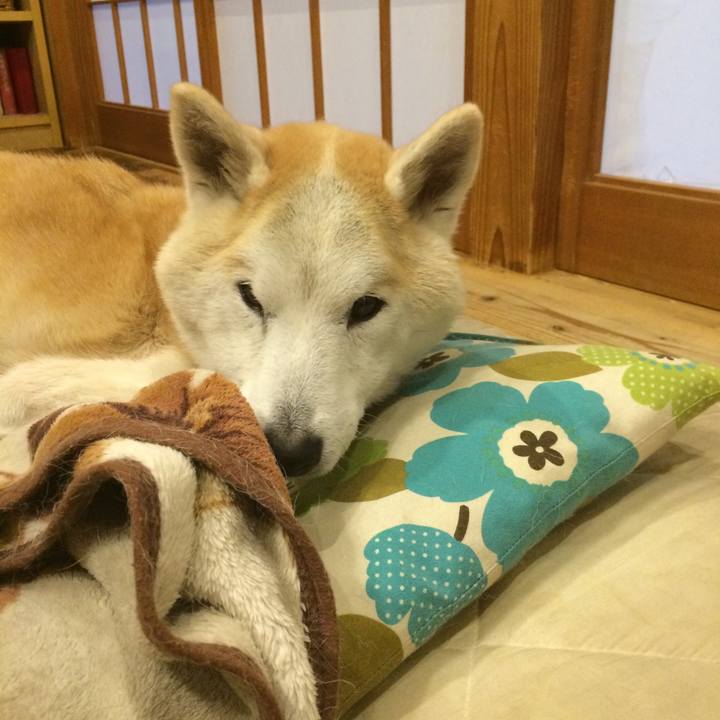 3ff657a0 dd6e 4082 9c56 6285578d9fa3 1580113010016