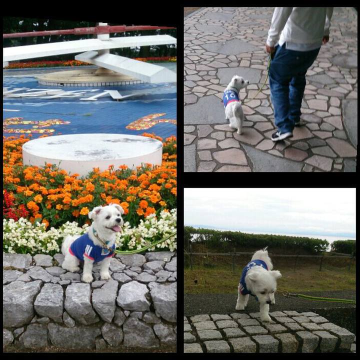 3ff68dfa db96 4802 8328 a0e92da244fe 1529049840865