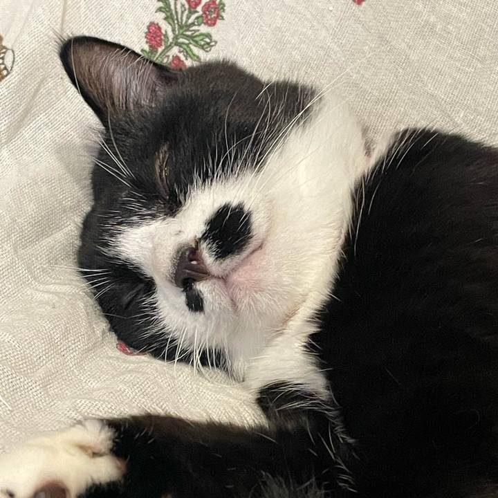 3ff737c2 cf12 4944 ae31 921ce5428a5f 1756372371276