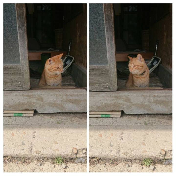 3ff78337 9992 4969 befb 09d5da9cc556 1651494014272