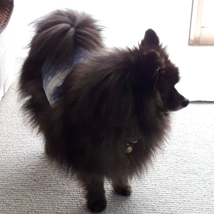 3ff797fb 6913 4478 b31f b6eb0b85e323 1517786751083