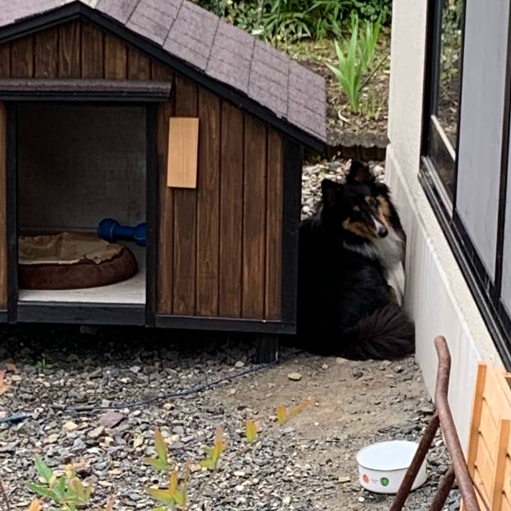 3ff79e9e 7bc1 4c77 98dc ec6b0c4bae09 1560291804624