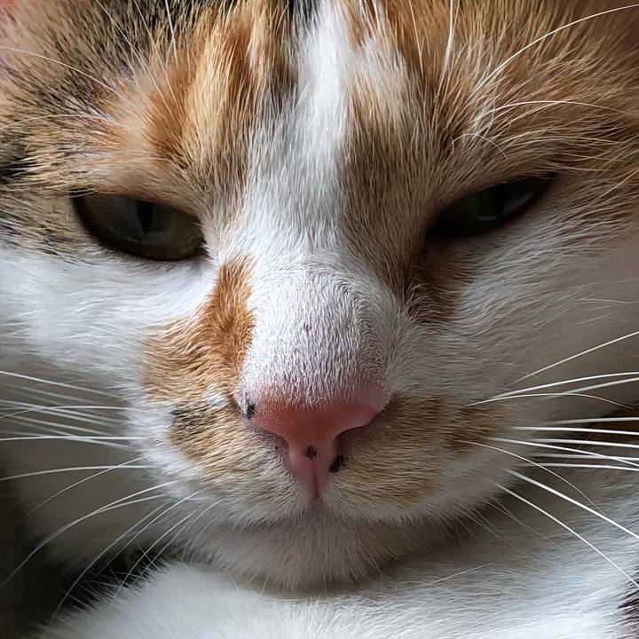 3ff80f13 f3b6 4ac8 99d3 32aea53824d9 1598679081582